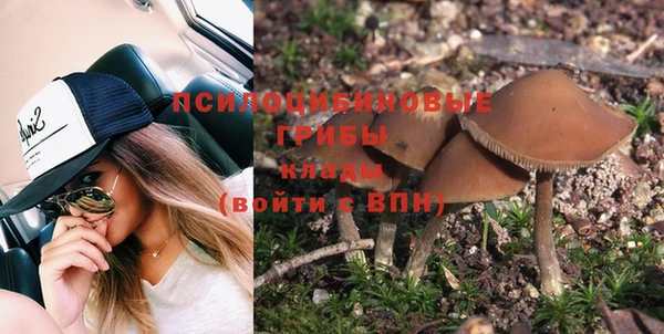 шишки Зеленокумск