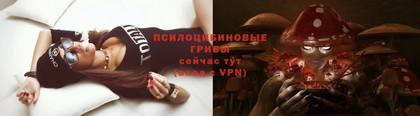 шишки Зеленокумск