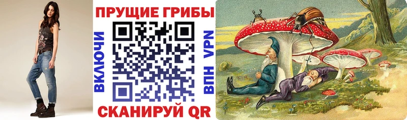 Купить закладки  Куйбышев  Галлюциногенные грибы Psilocybine cubensis 